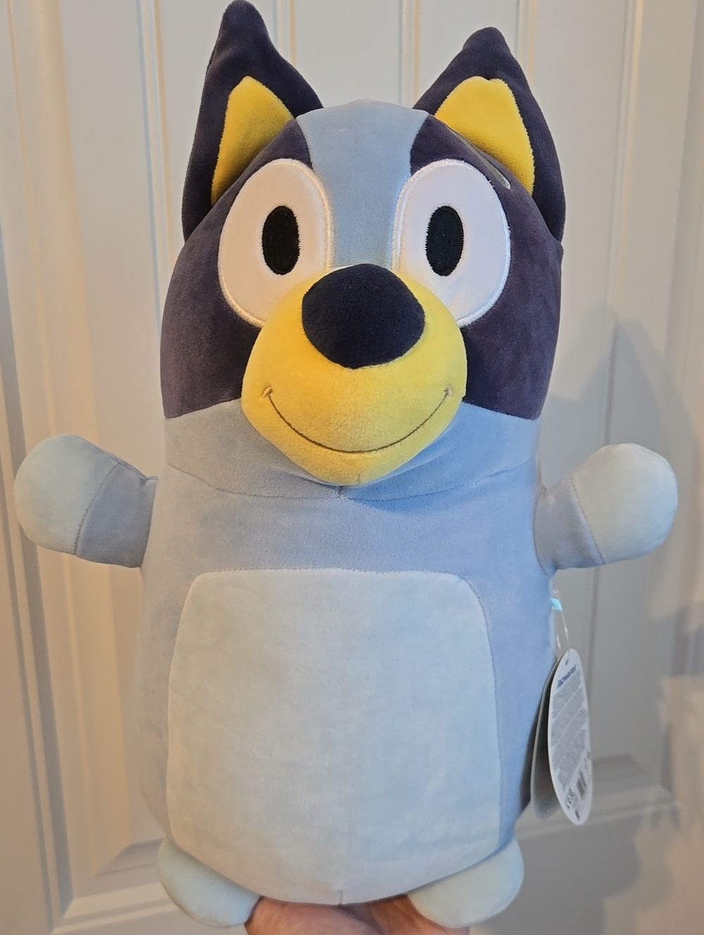 Bluey Hug Mees Squishmallow